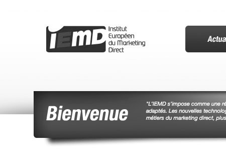 Site web Institut Européen du Marketing Direct